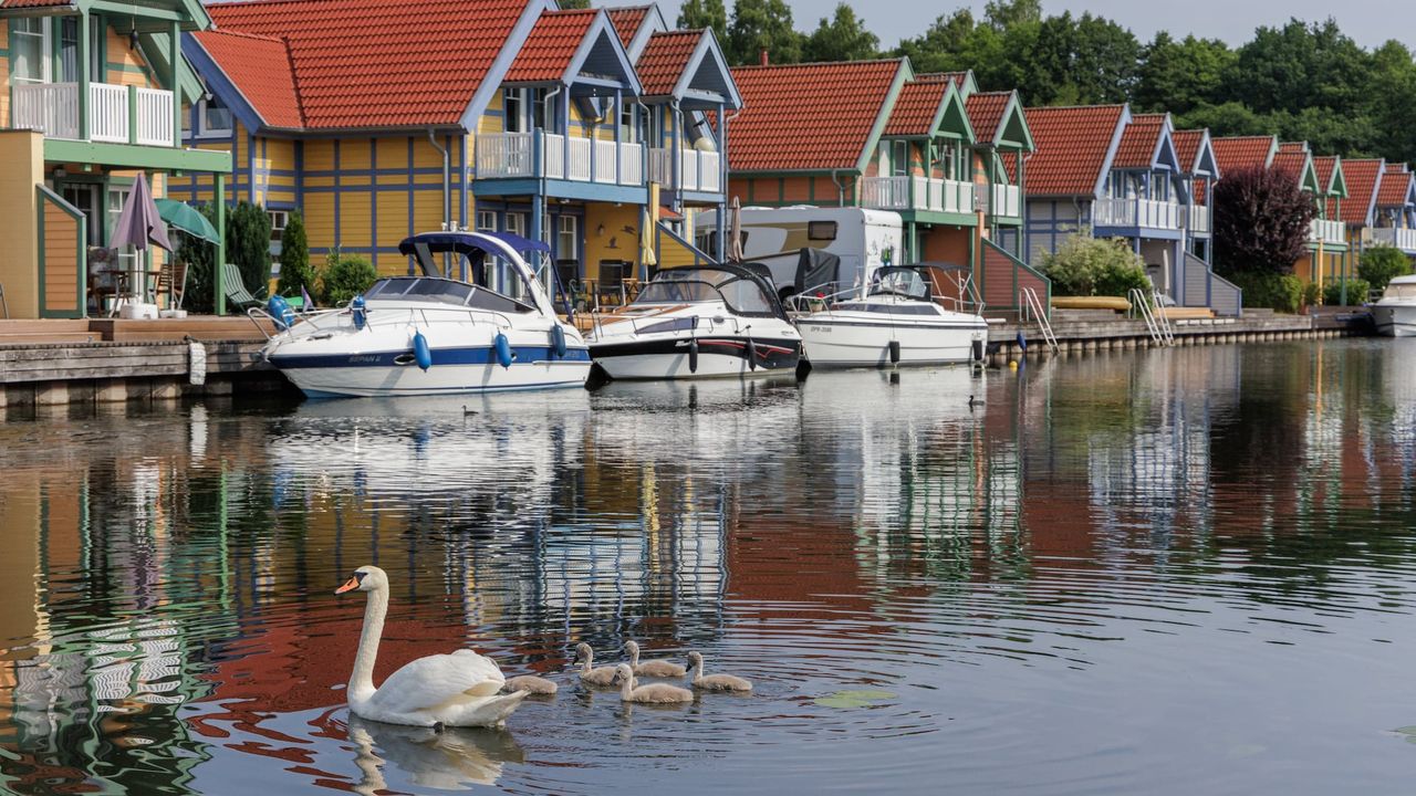 AreaSummer1KM AreaSummer1KM